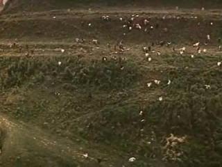 ������� � ������-�������� ��������.