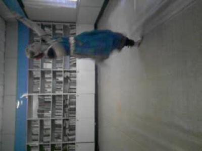 ������ ��������