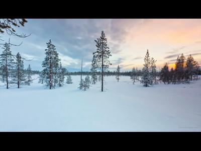 ����� ���������-������������ �������! �������� ������