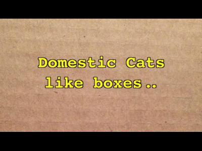 ������� ����� ���� ����� ������� :)