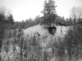 �������:-)