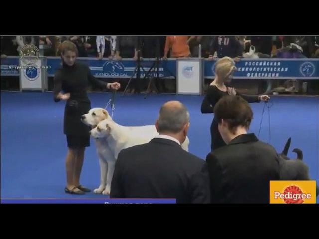 ��� �����2