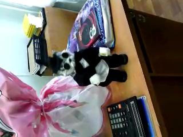 ��� �������