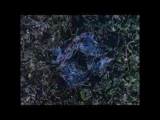 ������� (Contact)