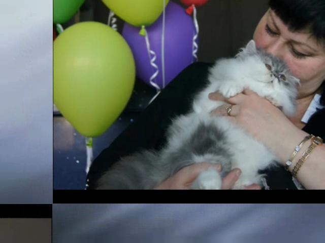 ����� 0001