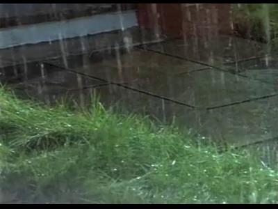 ���� ������� Nepogoda