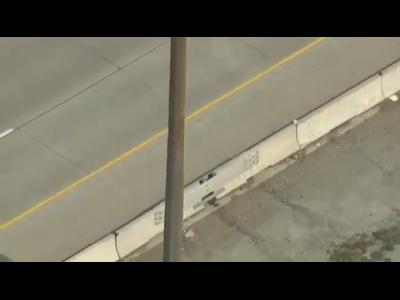 Utinaya semya perehodit trassu yapfiles.ru