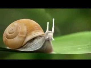 �����-������