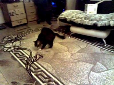 ����� ������ �� ������� ��� ������� �� ��������