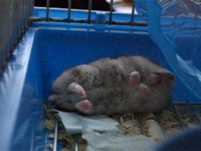 ��� ������