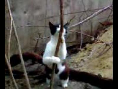 �����-�������ڣ���