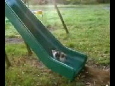 �У���� �����