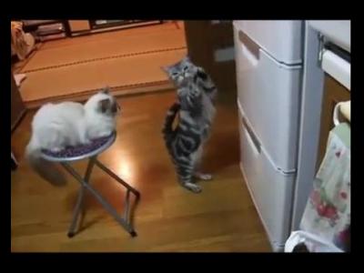 ����� ������