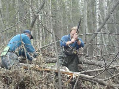 ����������kljn 369