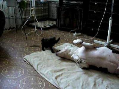 �� ����� ������ ����