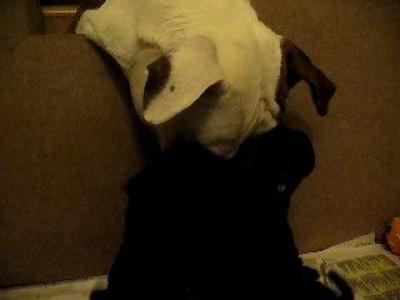 ����� � ��������� �����