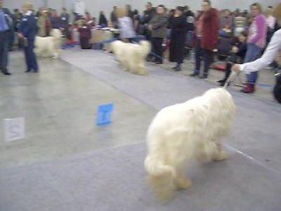 10 ����.��