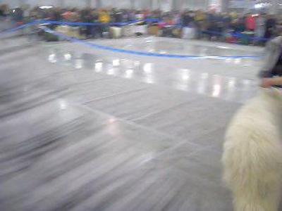 12 �����.���