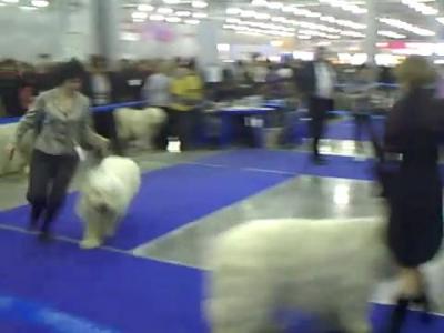 10-2 ���.����