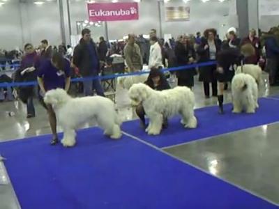 12-1-�����.��