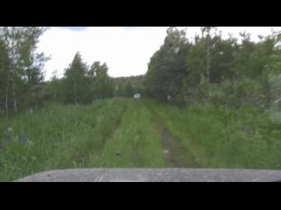 ������ ���� 11-12 ���� 2011