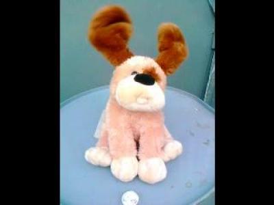 ��� �����