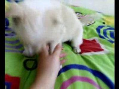 ����� ������