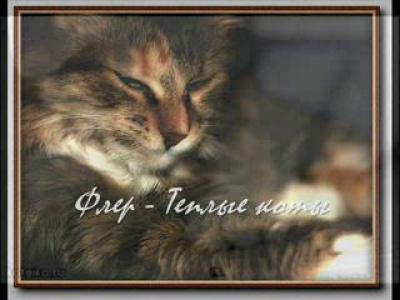 ������ ����