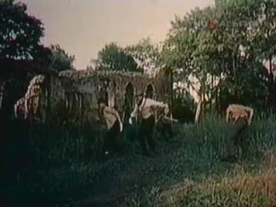 ���������� ������������ �����-����