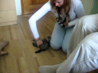 ������� :)