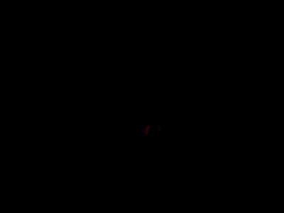 MOV09037