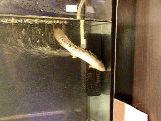 ������� 3