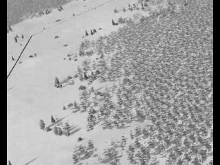 Fw-190A-8 ��� ������