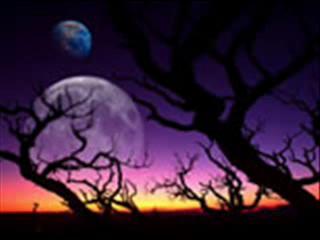 Gelato Al Cioccolato-Pupo.