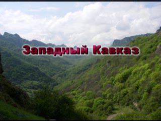 ������. ��� 2008