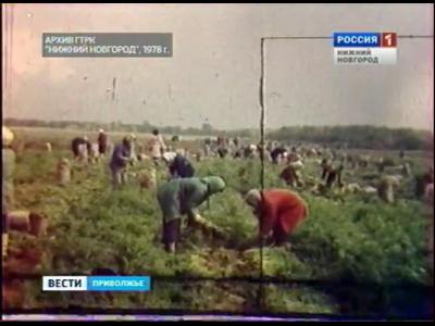 ��� ������������� (1978)