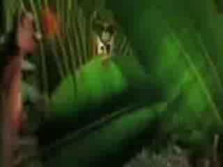 ���������� �� ������ :)