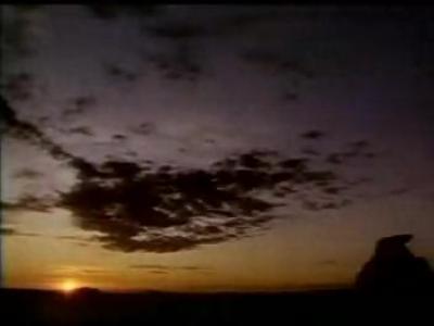 29 ����� ������ ���