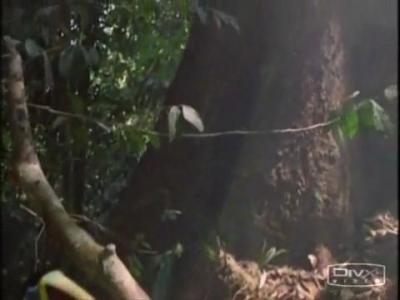 Michael Jackson, Earth Song ����� �������, ����� �����