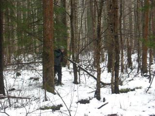 ���������� �������