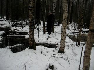 �� ��������