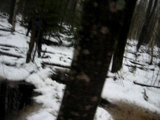 �� �������� �����������