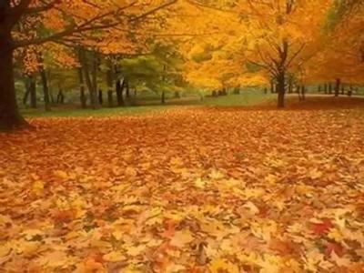 �������� ������-������ ����