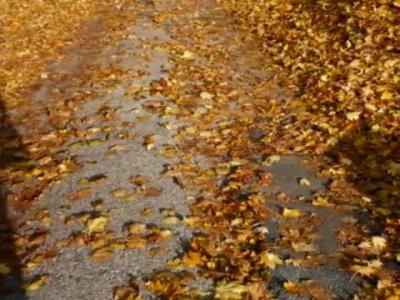 ��������� � �����-����� ������