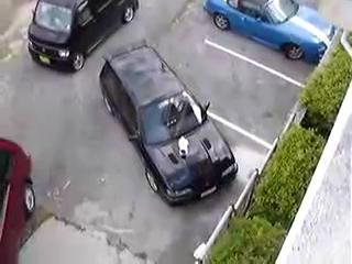 ���� �����...