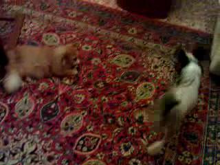 ������� �.2.