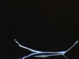 Cvety(Flowers)-Valeriya.