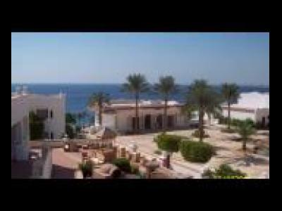 ������ 2011 