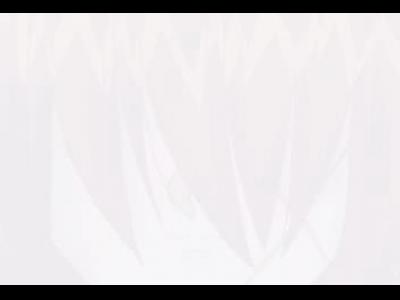 VegettoEX and Meri - Kenshin - DDR2 Track7 - Smoke