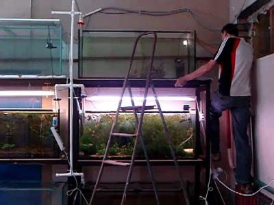 ��������� ��������� 500�